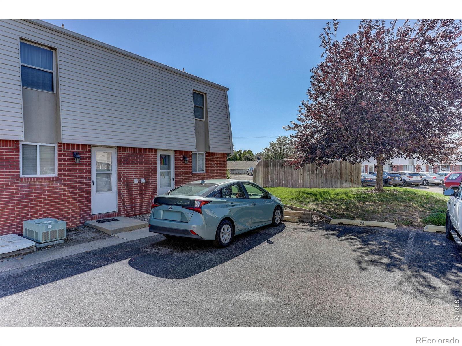 219 Chestnut St, Windsor, CO 80550