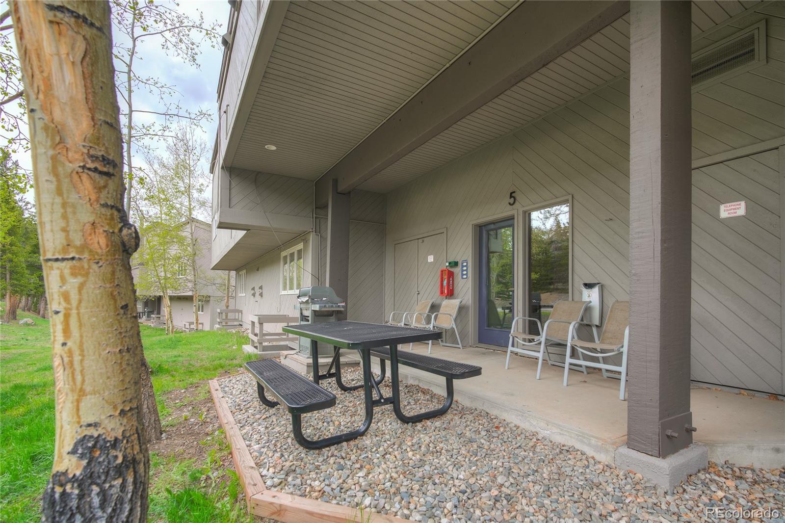 57 N Fuller Placer Rd #B, Breckenridge, CO 80424