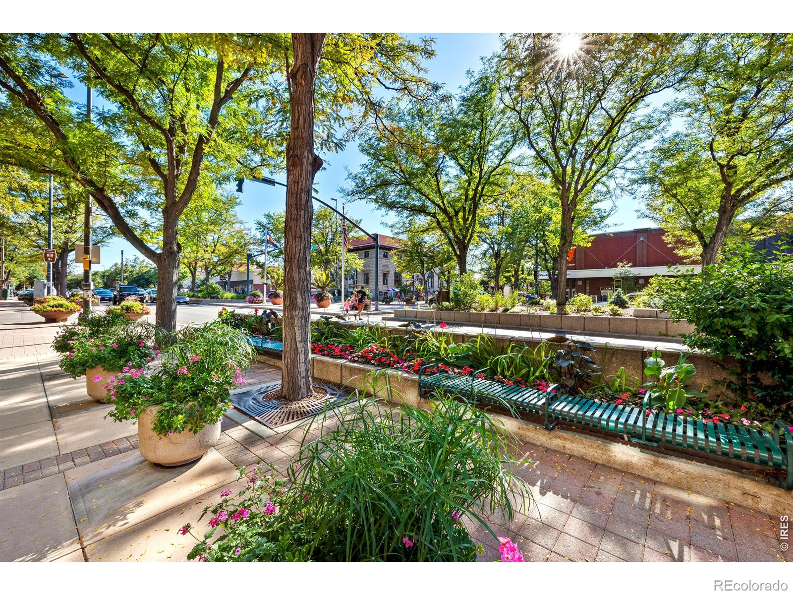 1014 Andrews Peak Dr, Fort Collins, CO 80521