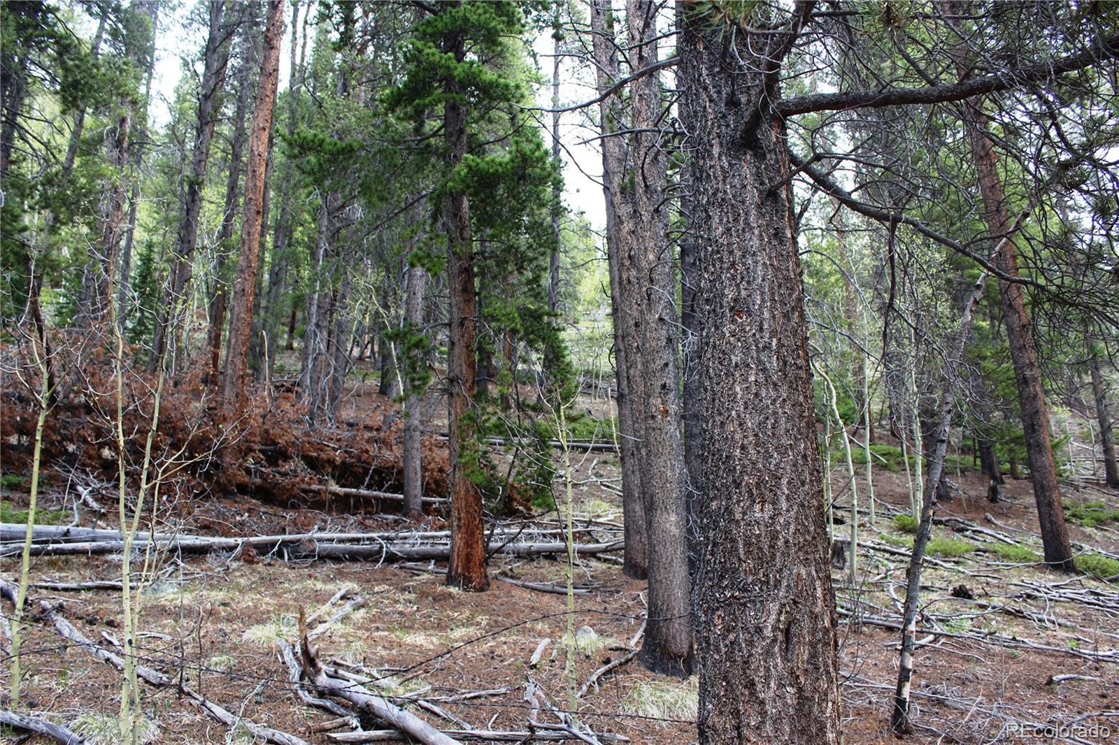 01 Broomfeild Gulch Rd Lot 9527, Black Hawk, CO 80422