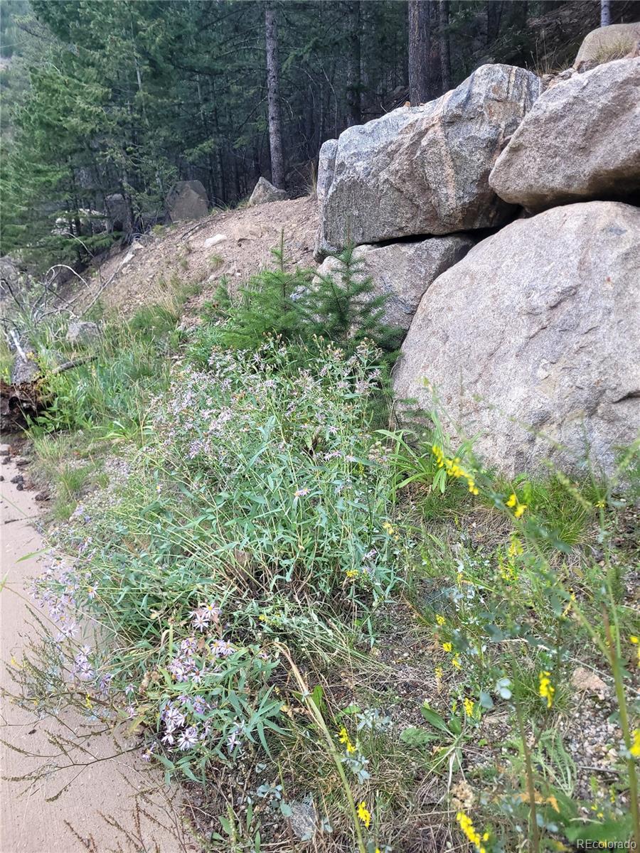 00 Guanella Pass Rd Block: I Lot: 3 AND:- Lot: 4 & VAC ROSE ST & LOTS 5-8, Georgetown, CO 80444