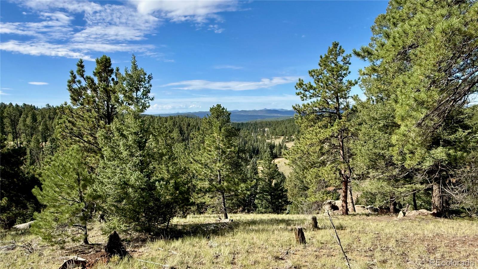 196 Beaver Creek Cir, Florissant, CO 80816