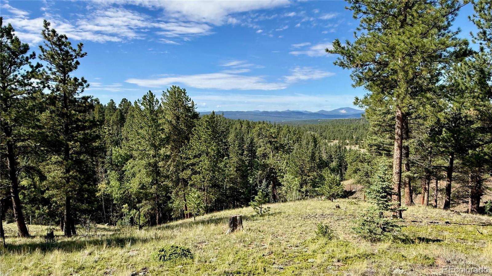 196 Beaver Creek Cir, Florissant, CO 80816