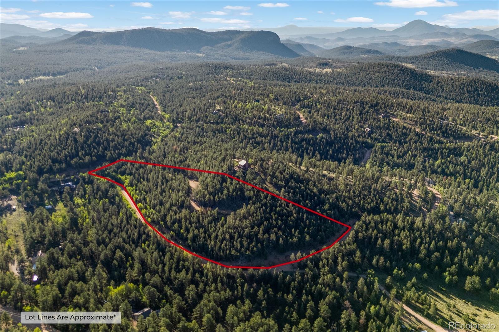 157 Saddle Horn Ln, Bailey, CO 80421