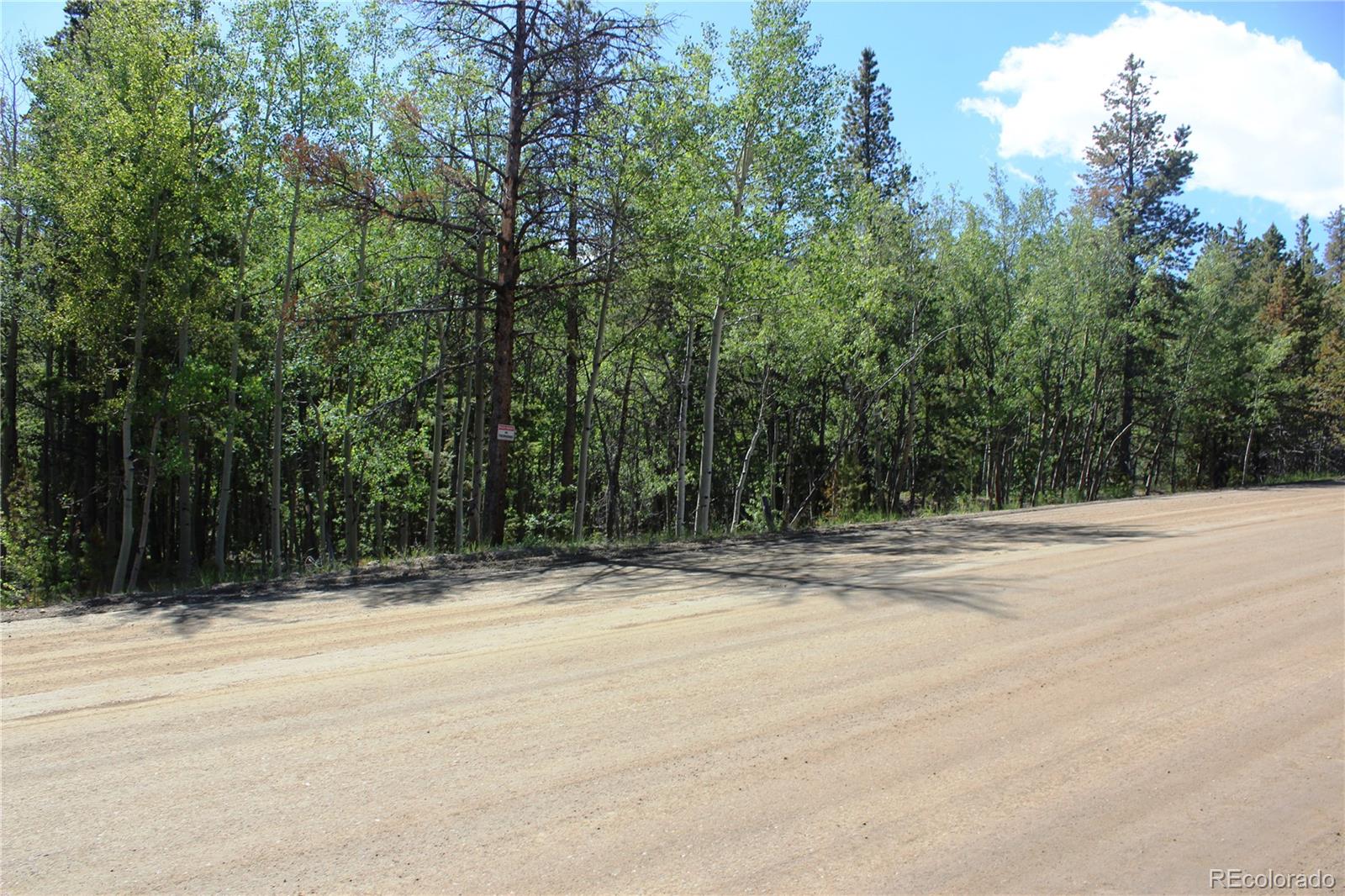 6050 Virginia Canyon Rd Lot 6050, Central City, CO 80427