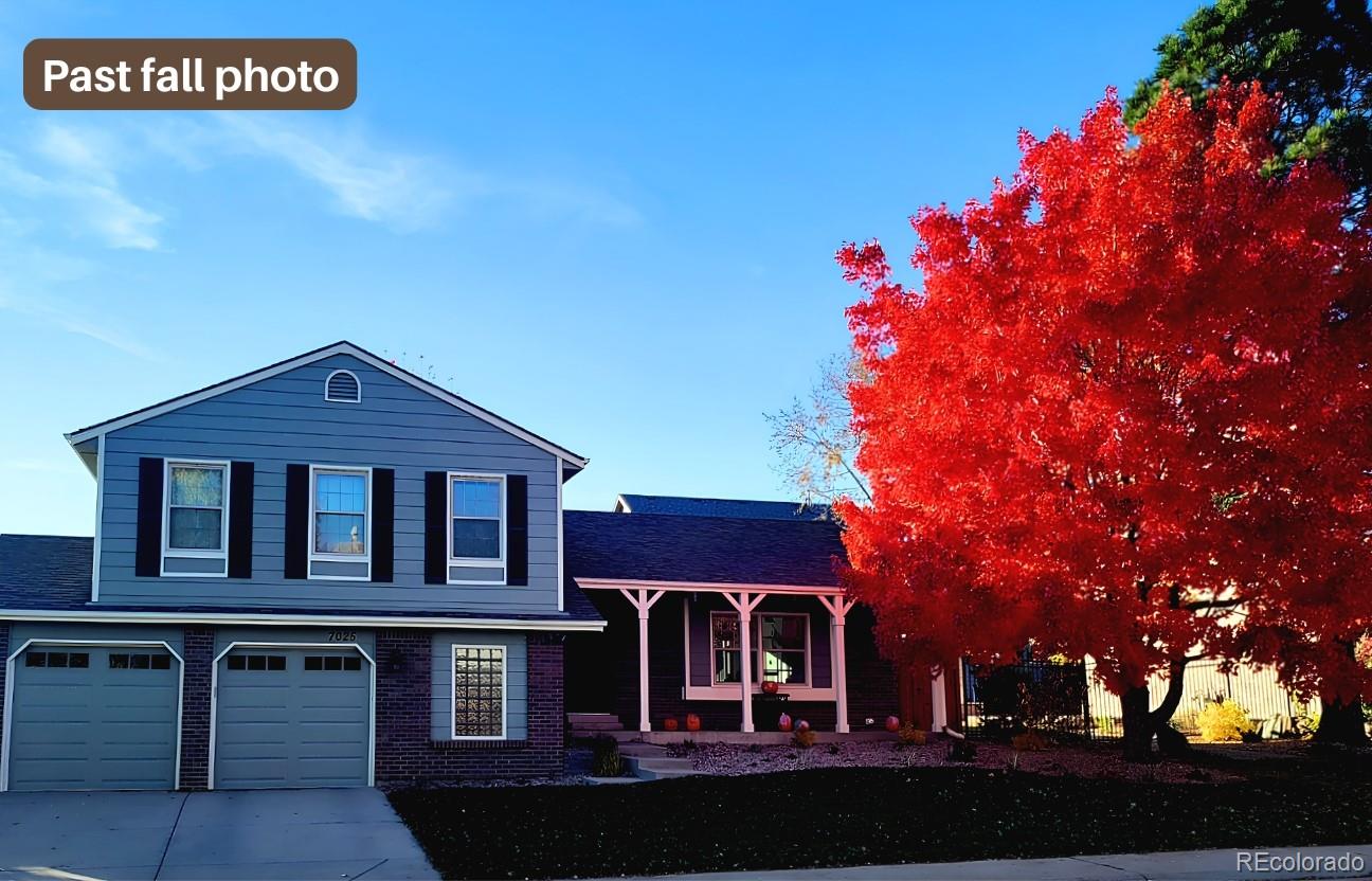 7025 Gladiola St, Arvada, CO 80004