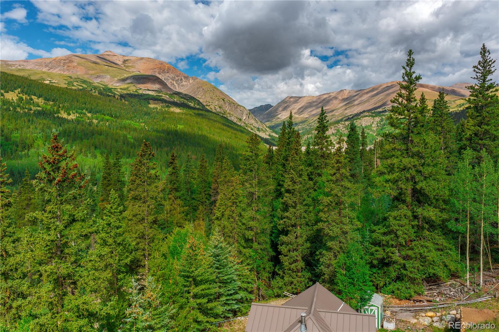 420 Nuthatch Dr, Alma, CO 80420