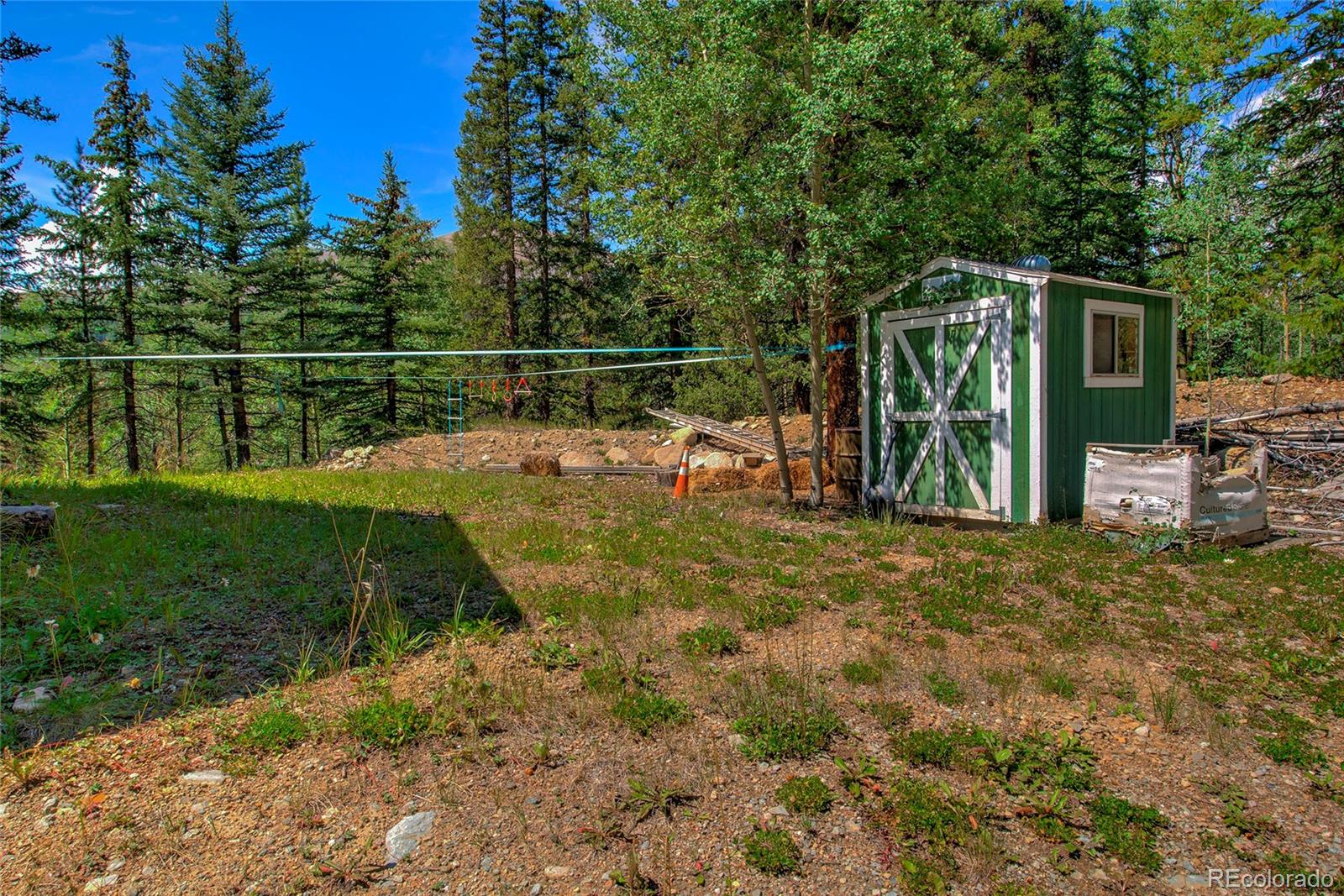 420 Nuthatch Dr, Alma, CO 80420