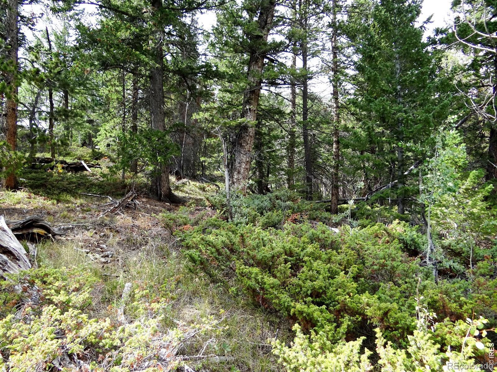 115 Wenro Ct, Red Feather Lakes, CO 80545