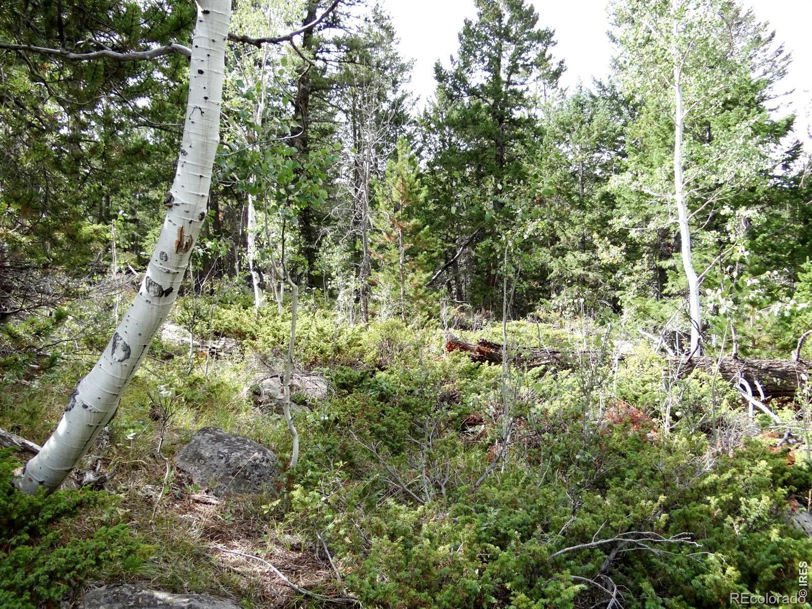 115 Wenro Ct, Red Feather Lakes, CO 80545