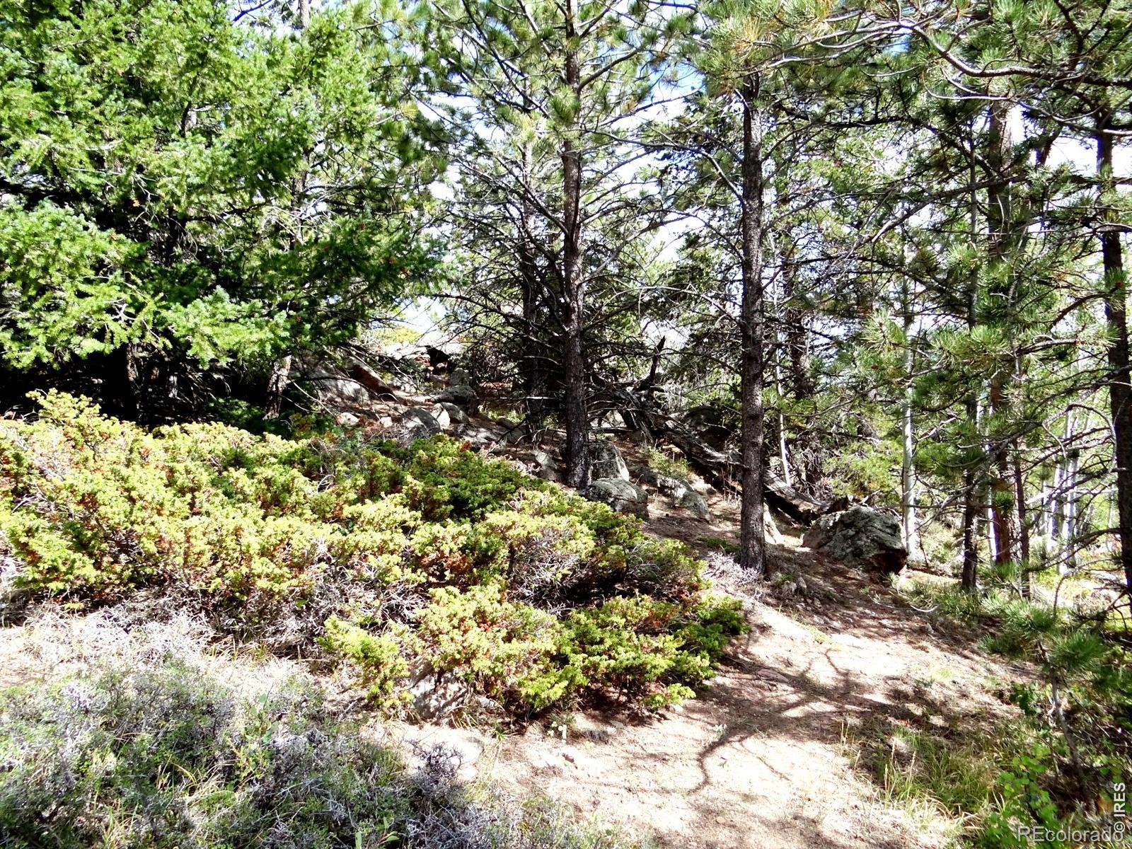 115 Wenro Ct, Red Feather Lakes, CO 80545