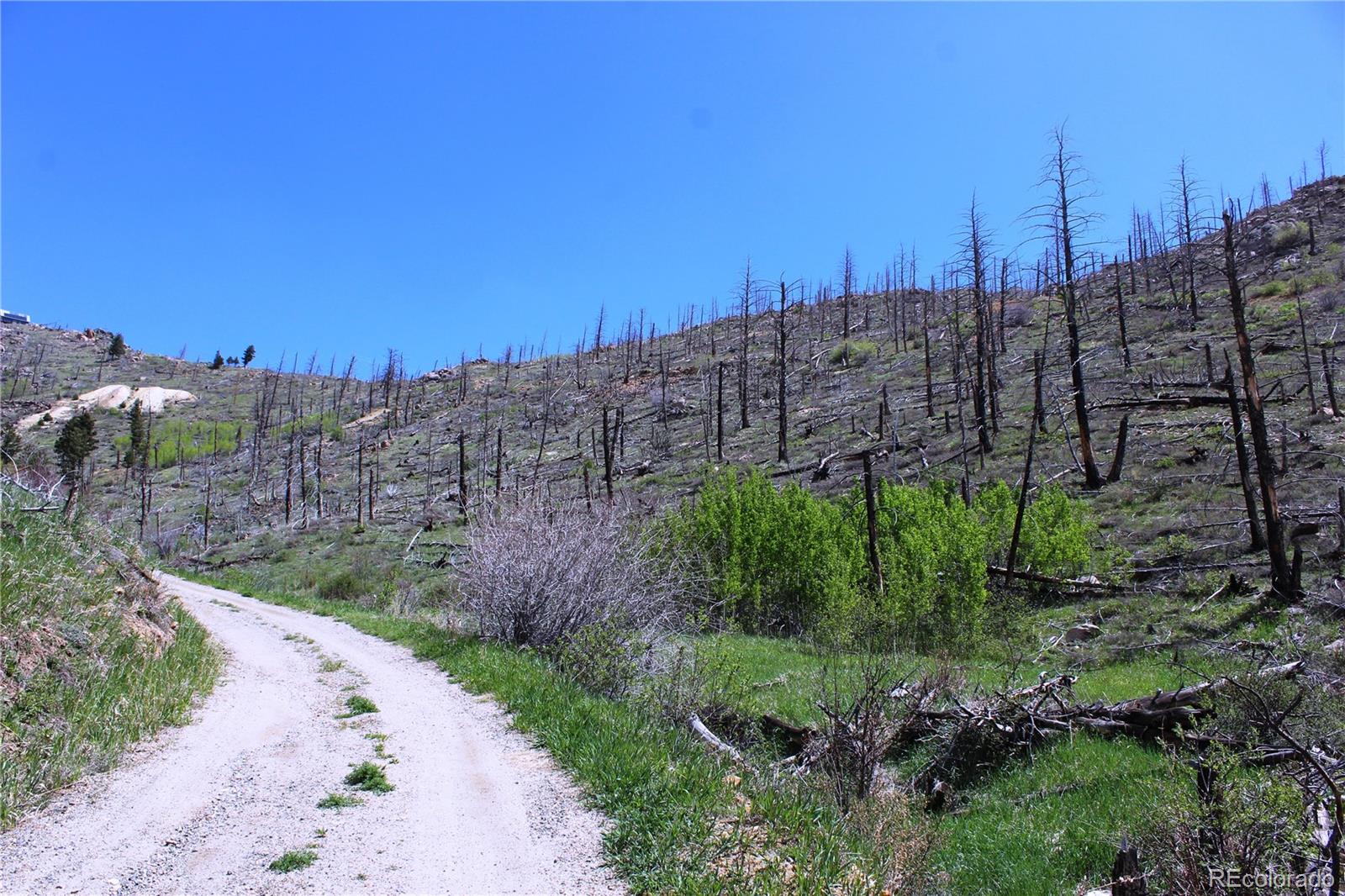 0 County Rd 89 Lot 237, Boulder, CO 80020