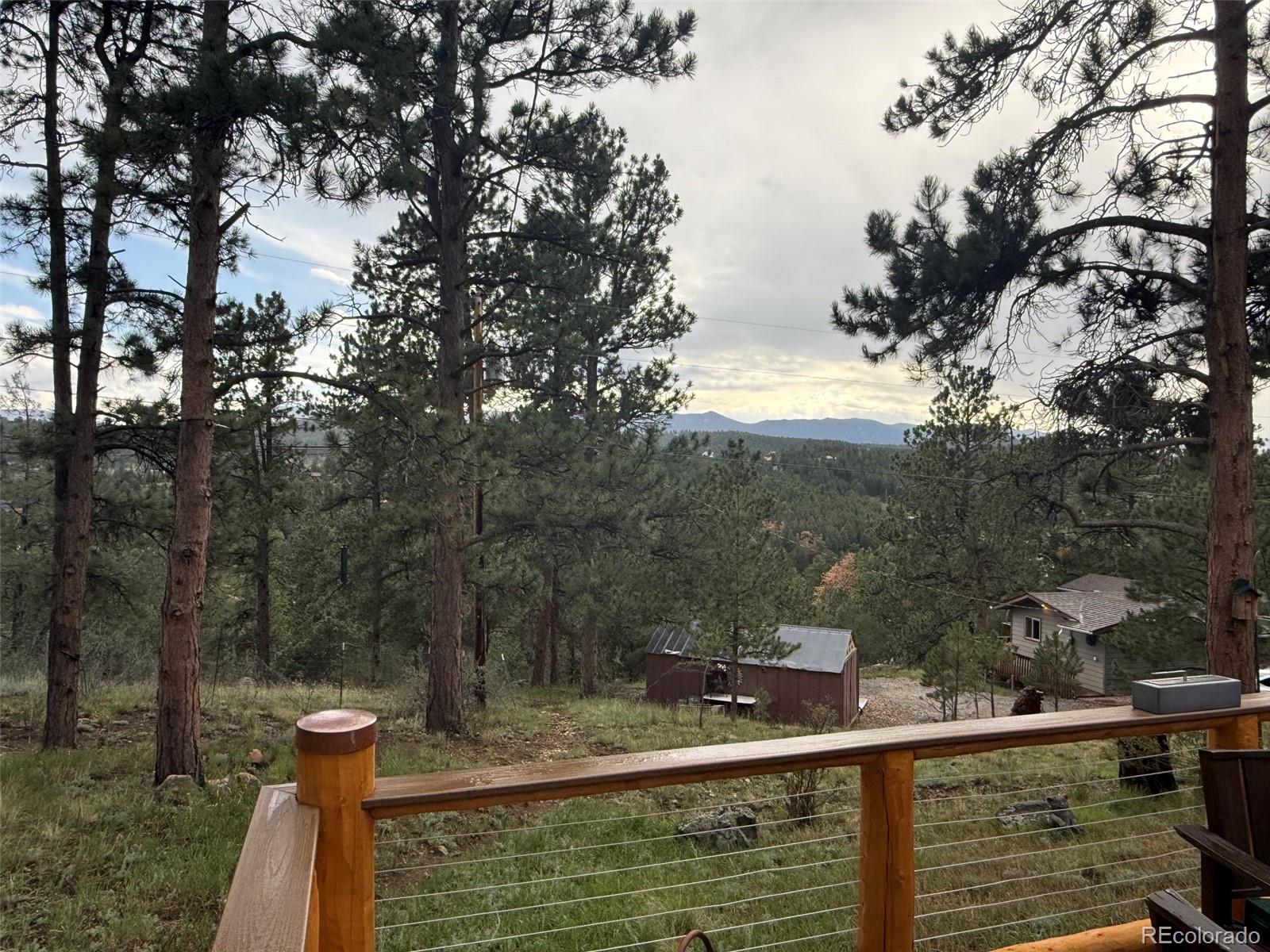 221 Juniper Ln, Bailey, CO 80421