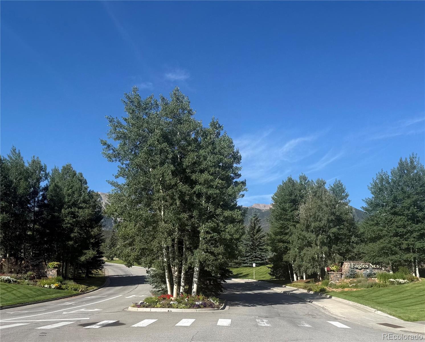 102 Blue Grouse Ln, Silverthorne, CO 80498