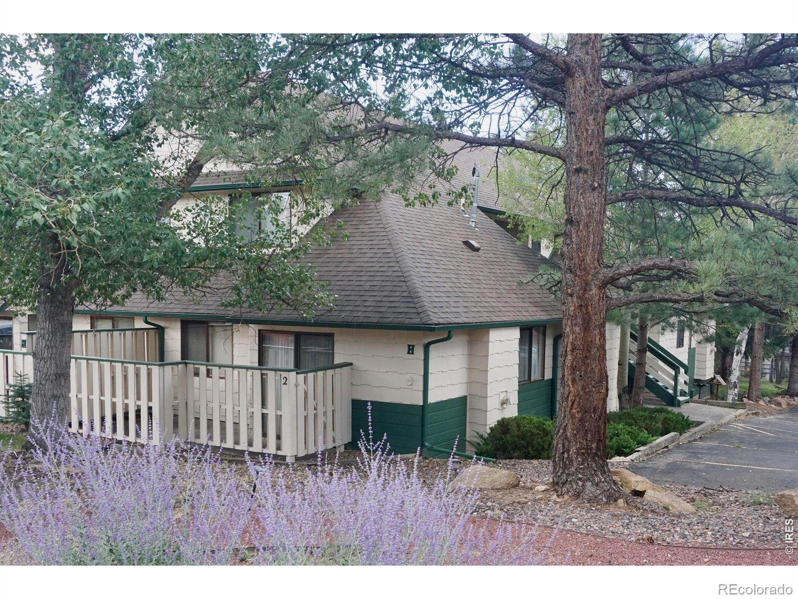 1010 S Saint Vrain Ave #H2, Estes Park, CO 80517