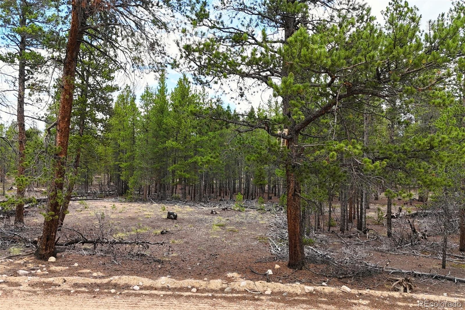 701 Cedar Dr, Leadville, CO 80461