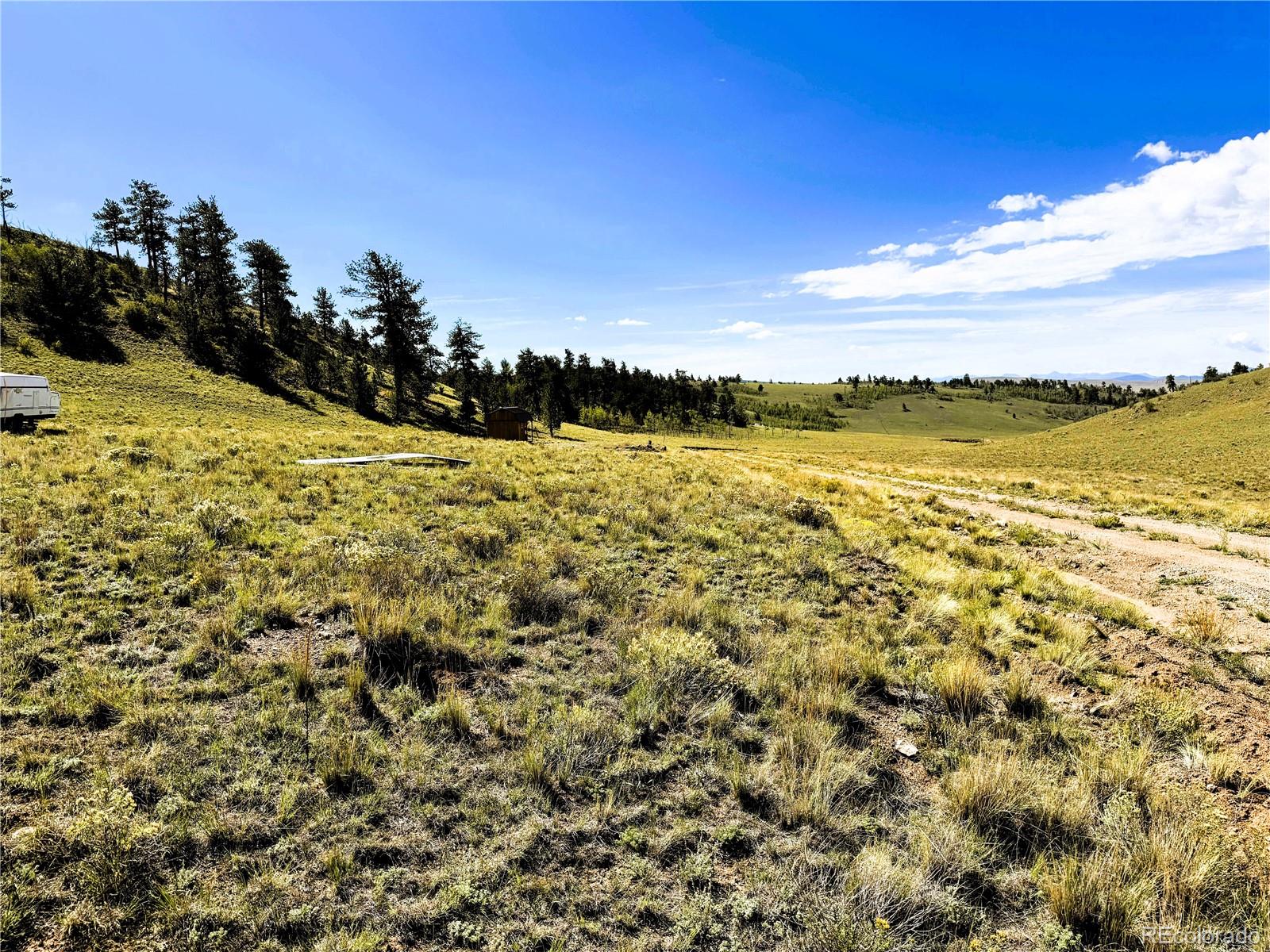 8390 Chickasaw Rd Lot 1755, Hartsel, CO 80449