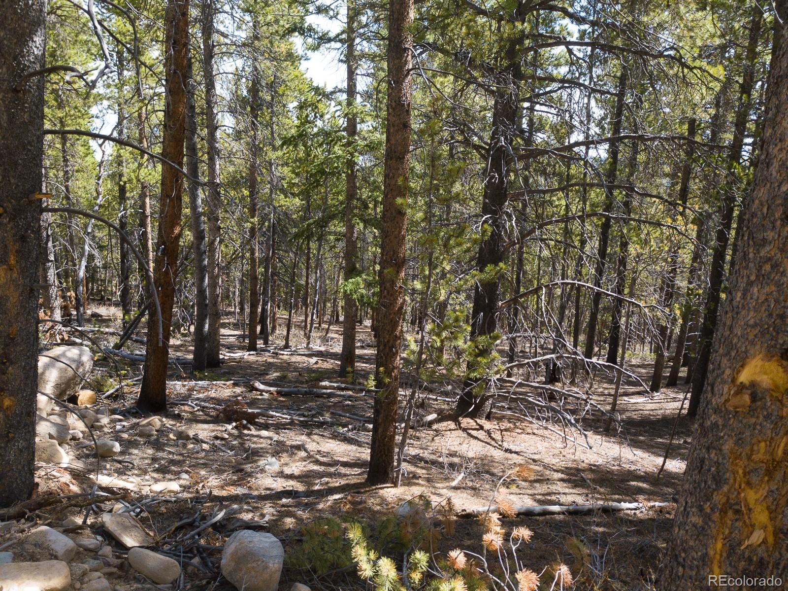 380 Georges Way, Alma, CO 80420