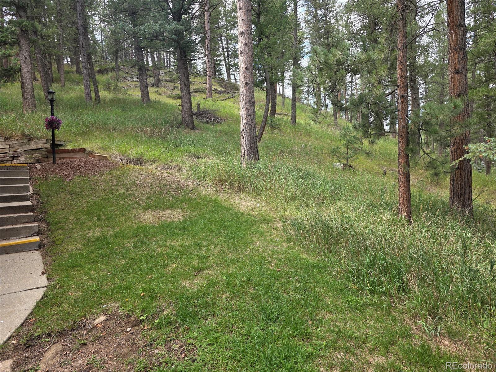 4897 Silver Spruce Ln, Evergreen, CO 80439