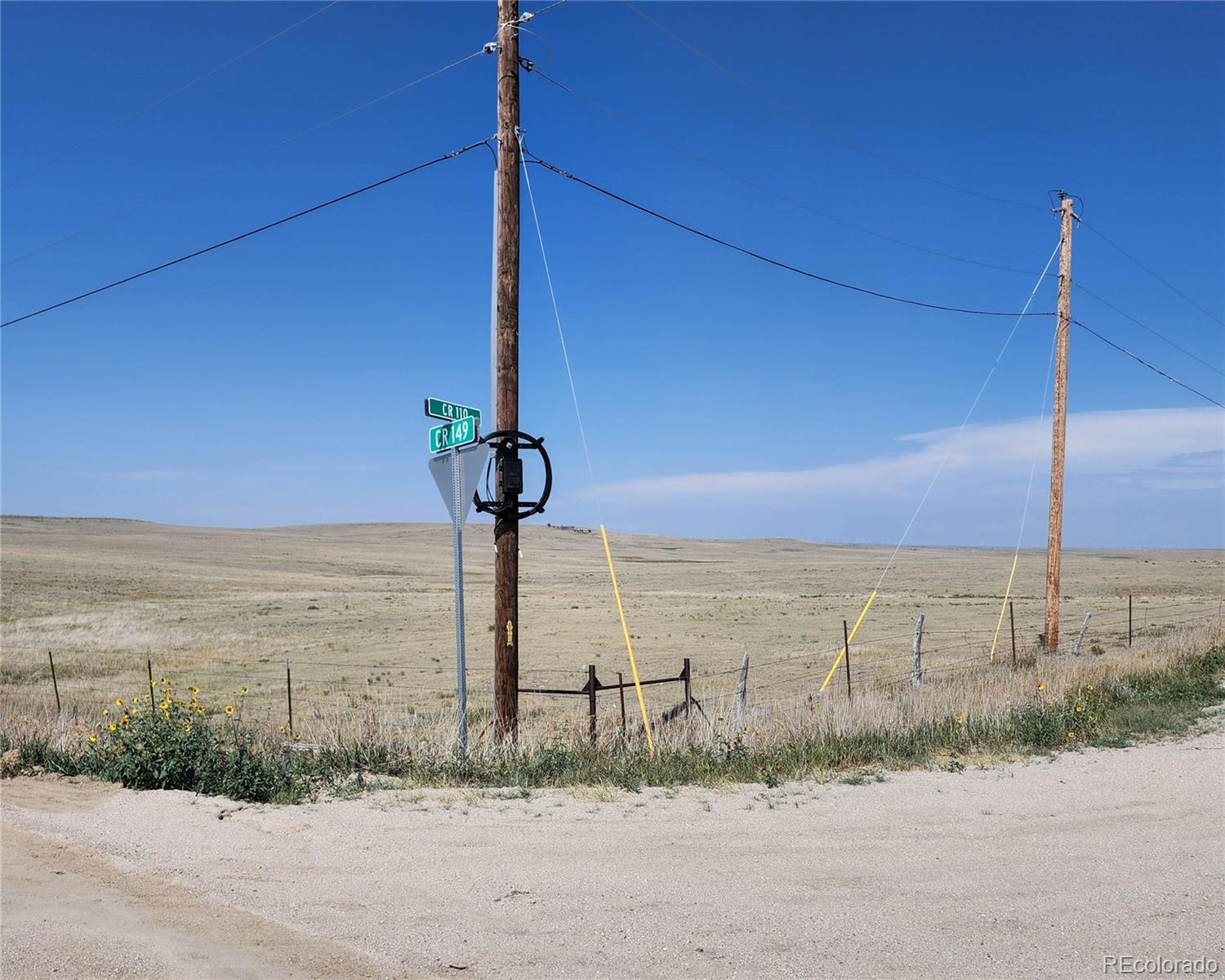 County Road 148, Agate, CO 80101
