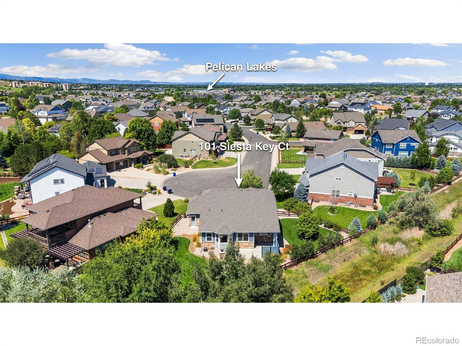 101 Siesta Key Ct, Windsor, CO 80550