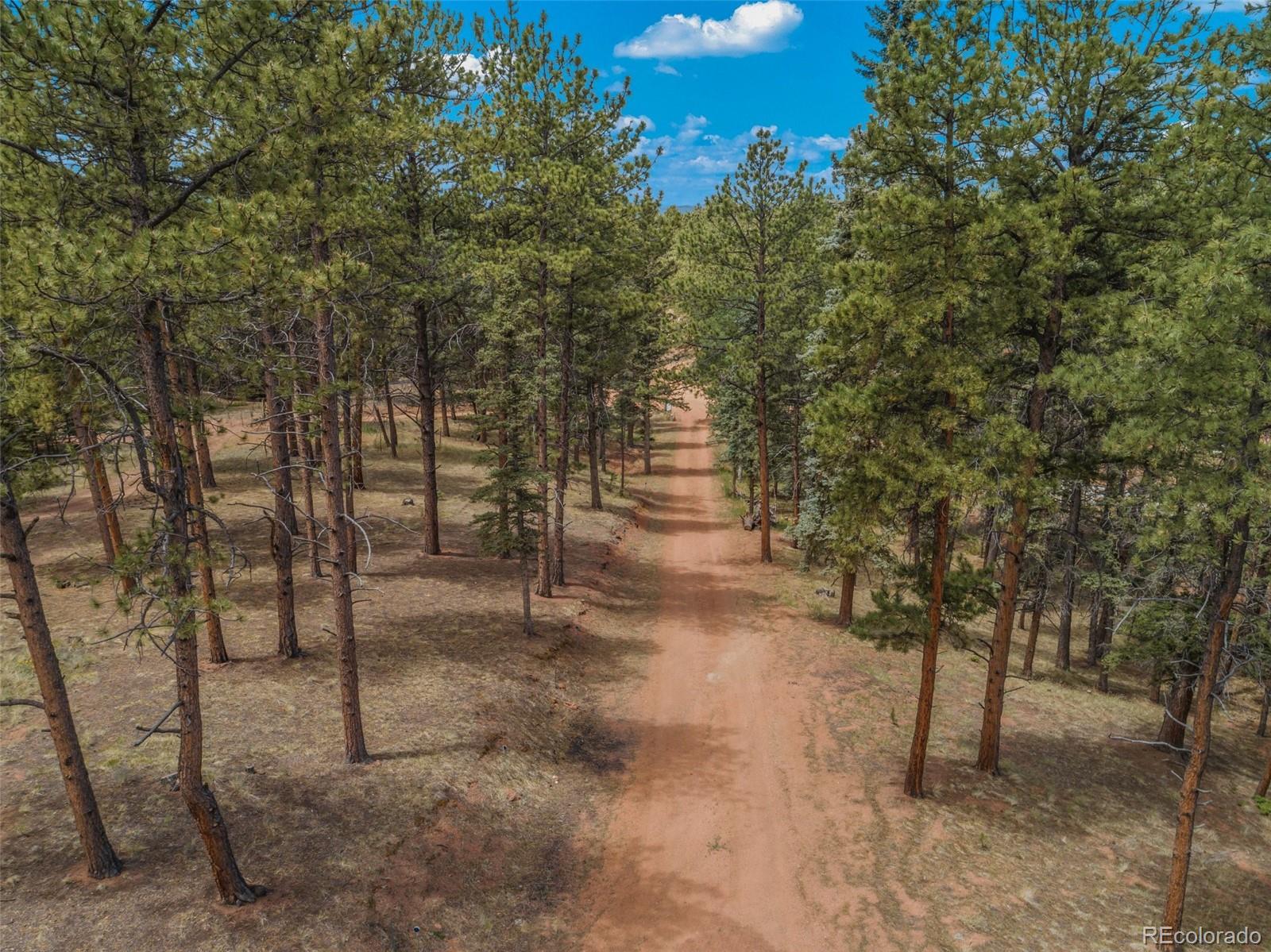 46 Kingston Cir, Florissant, CO 80816