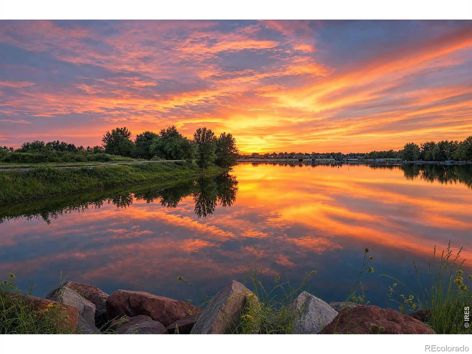 4462 Chaplin Creek Ct, Loveland, CO 80538