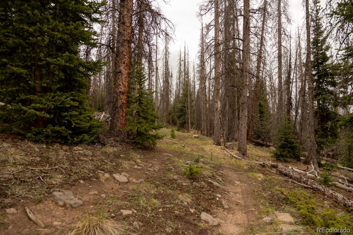 3190 Forest Road 503, Creede, CO 81130