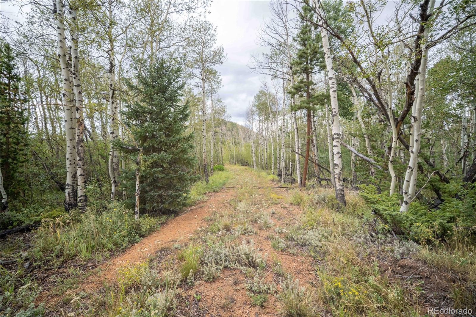 25 Huron Rd, Red Feather Lakes, CO 80545