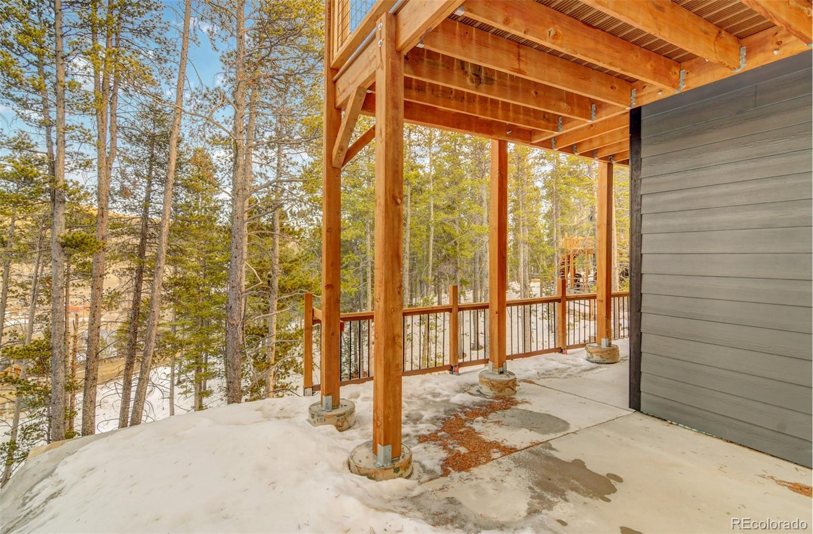 148 Aspen St, Alma, CO 80420
