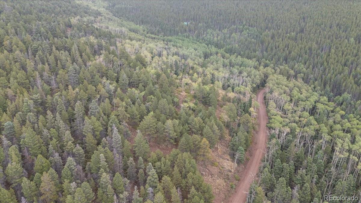 Lot 2260 Speciale Pl Lot 2260, Fort Garland, CO 81133