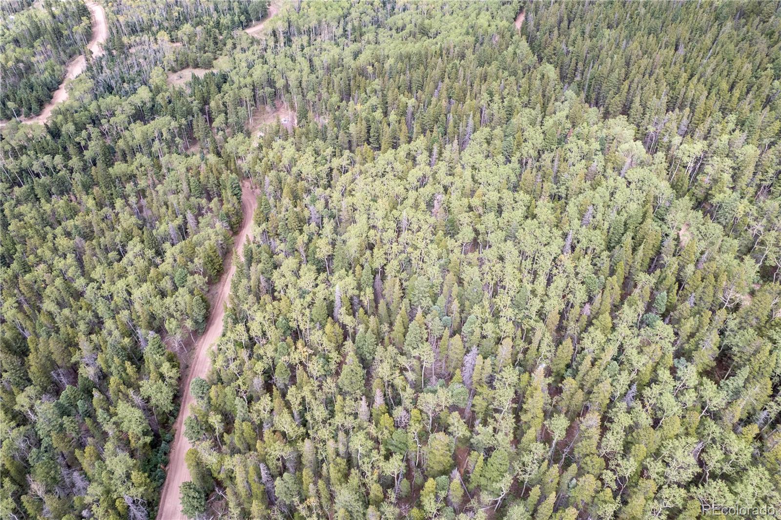Lot 2260 Speciale Pl Lot 2260, Fort Garland, CO 81133
