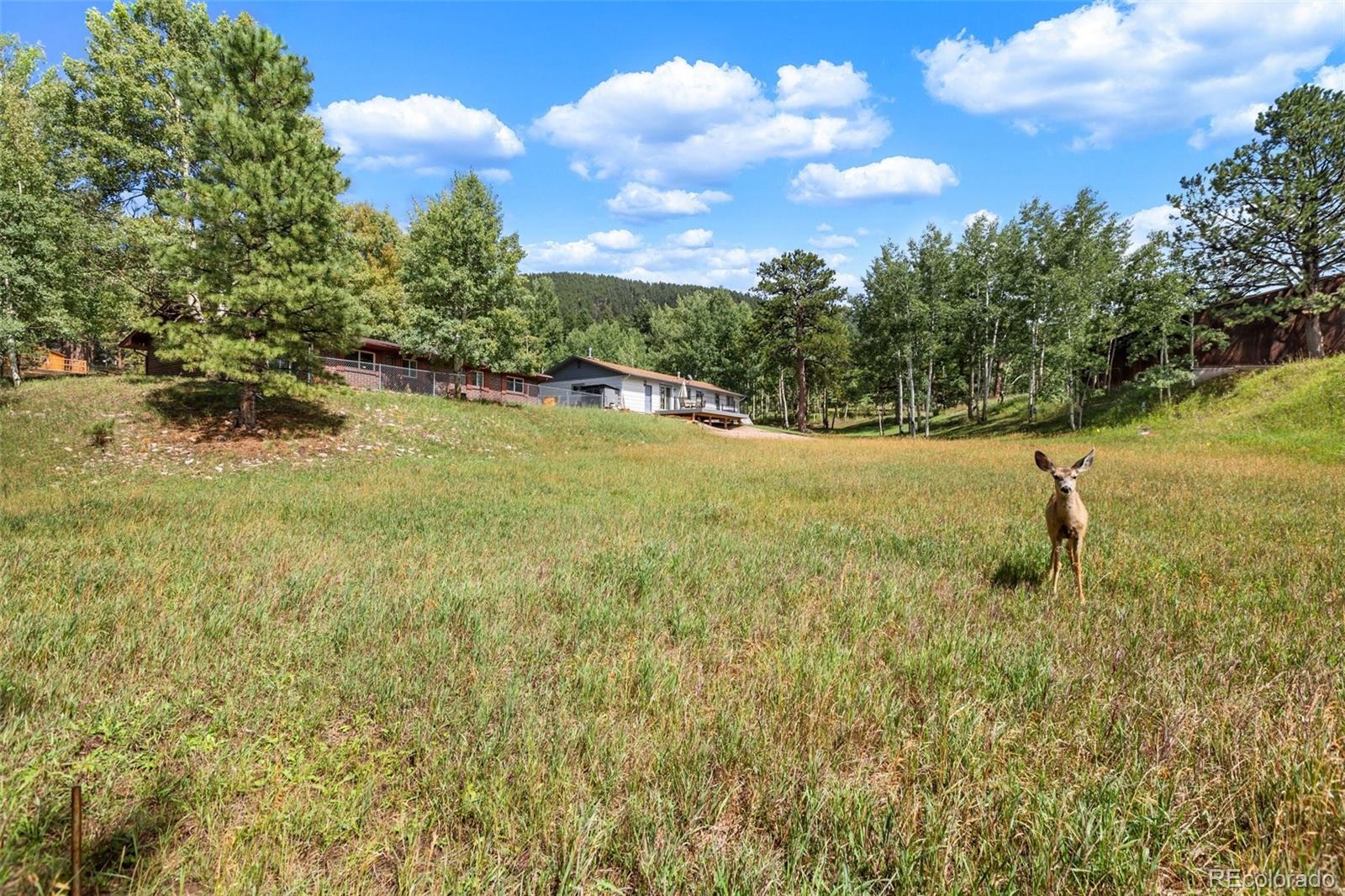 1035 Park Vw, Woodland Park, CO 80863
