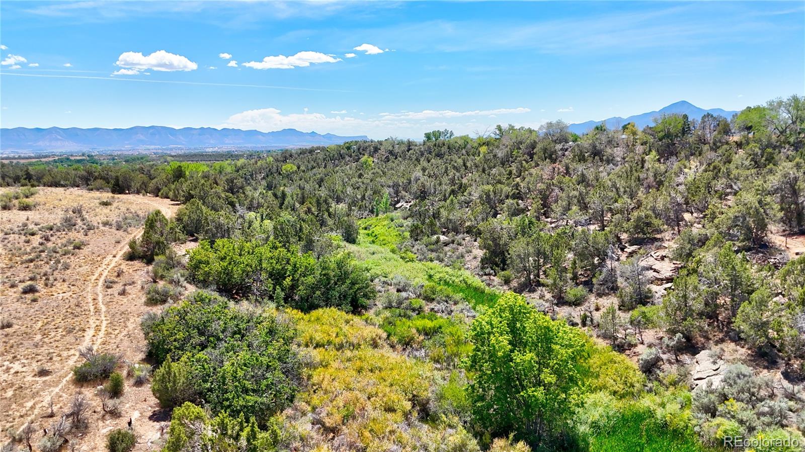 16056 Road 25, Dolores, CO 81323
