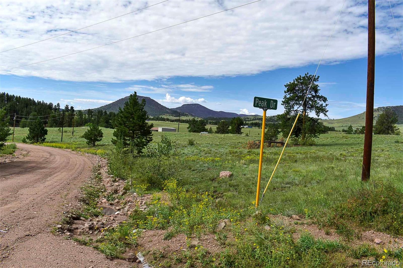 32 Peak Dr, Guffey, CO 80820