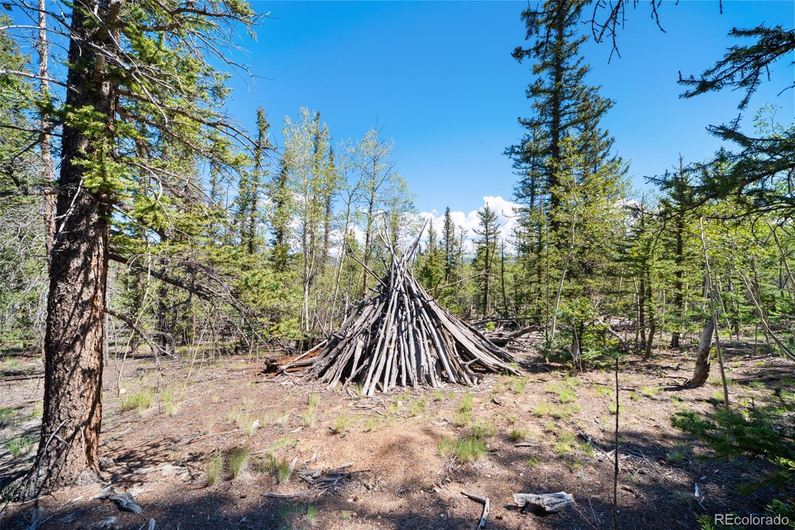 1049 Teton Trl, Como, CO 80456