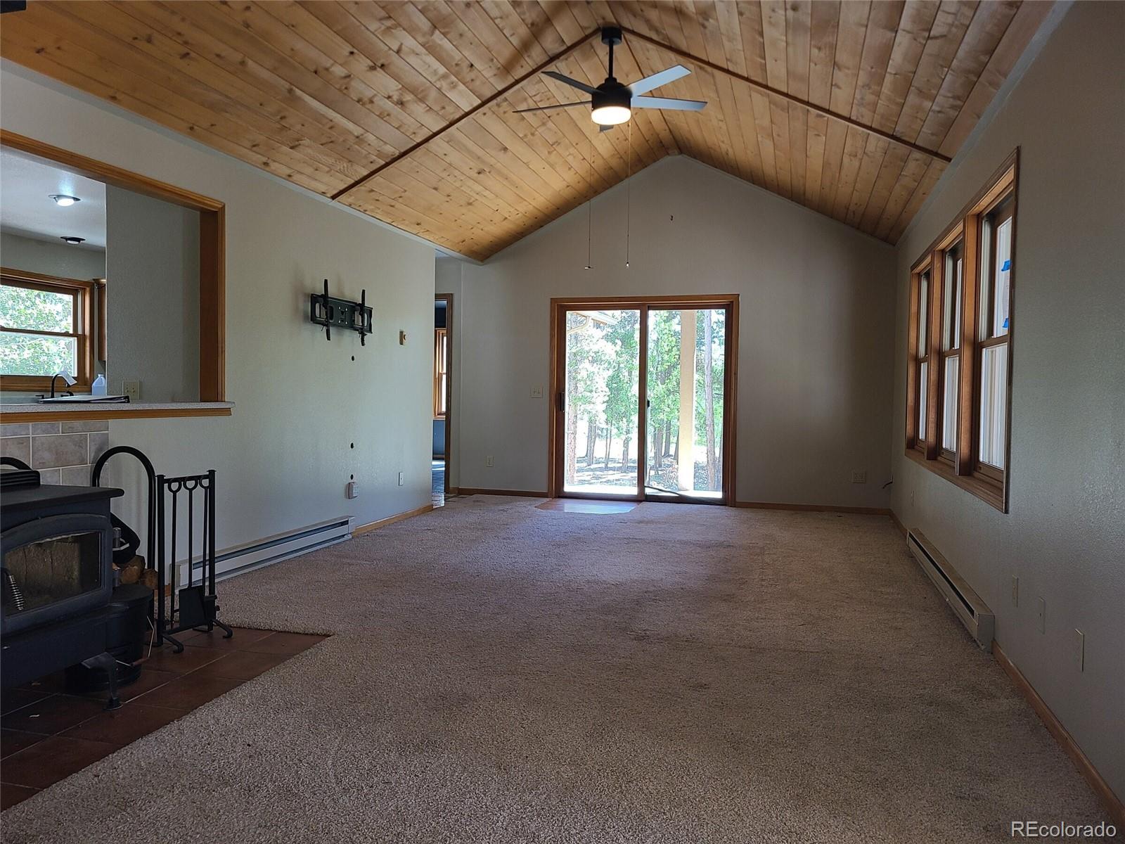 757 Thompson Park Rd, Fairplay, CO 80440