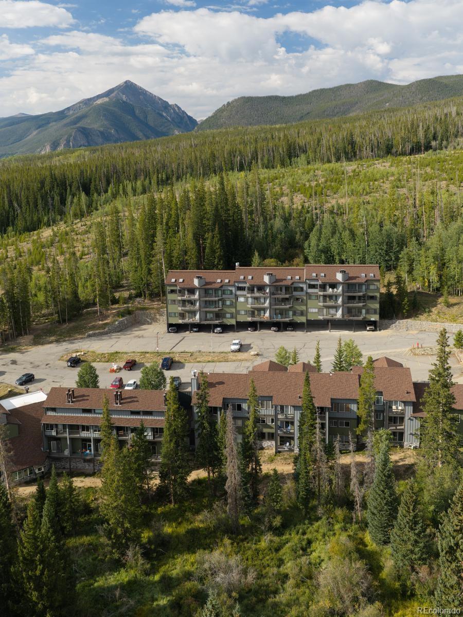 10000 Ryan Gulch Rd #312, Silverthorne, CO 80498