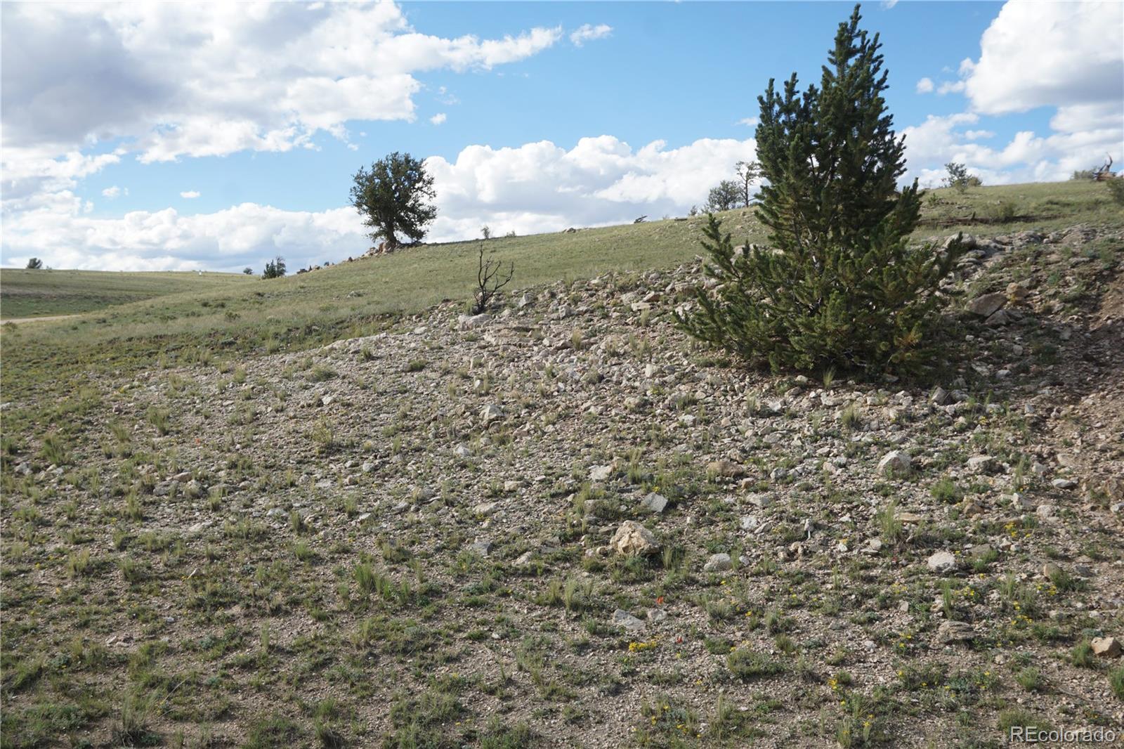 907 Walls St, Hartsel, CO 80449