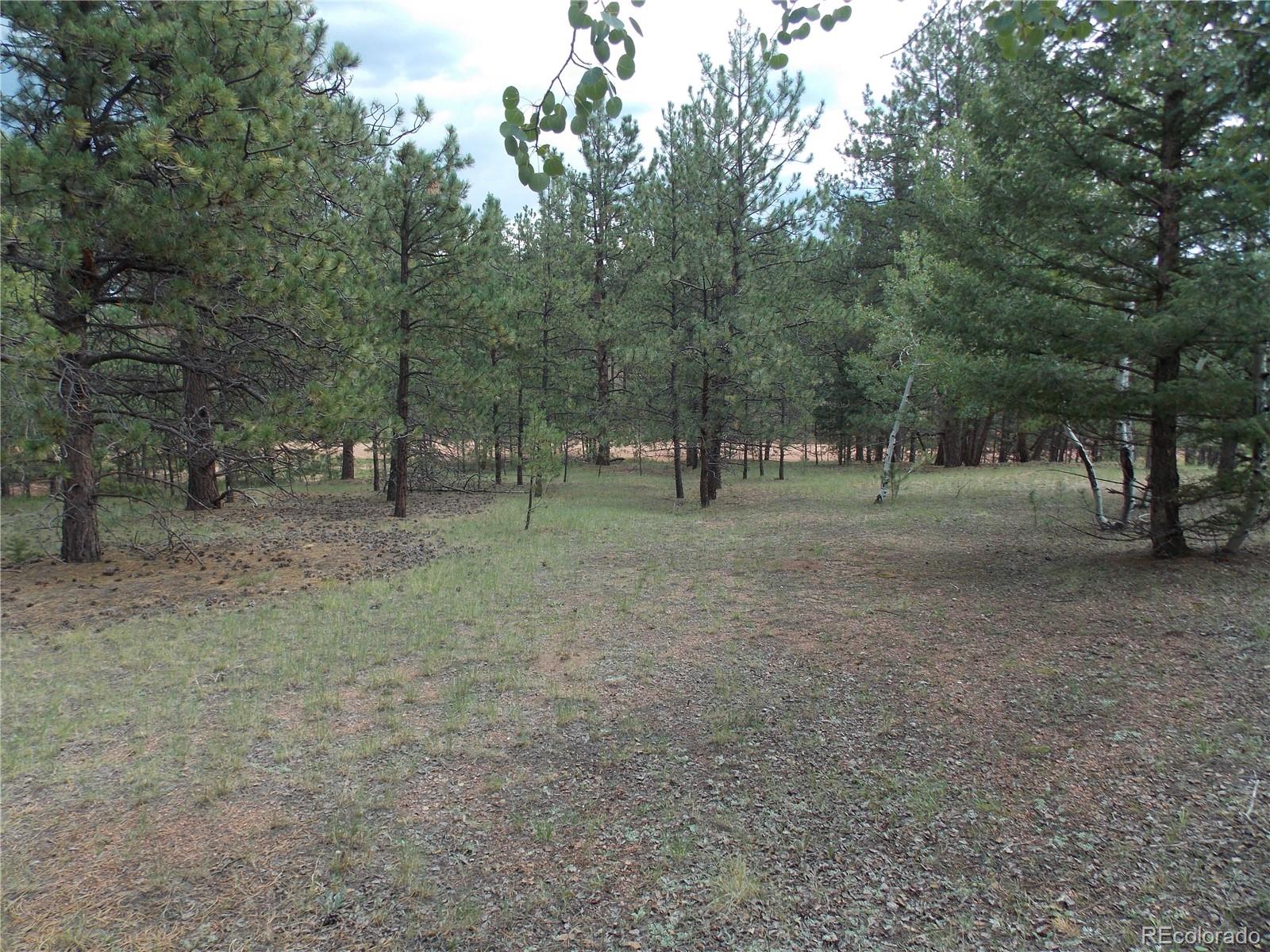 738 Black Mesa Cir, Florissant, CO 80816