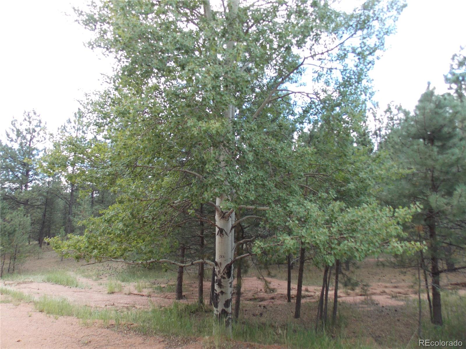 738 Black Mesa Cir, Florissant, CO 80816