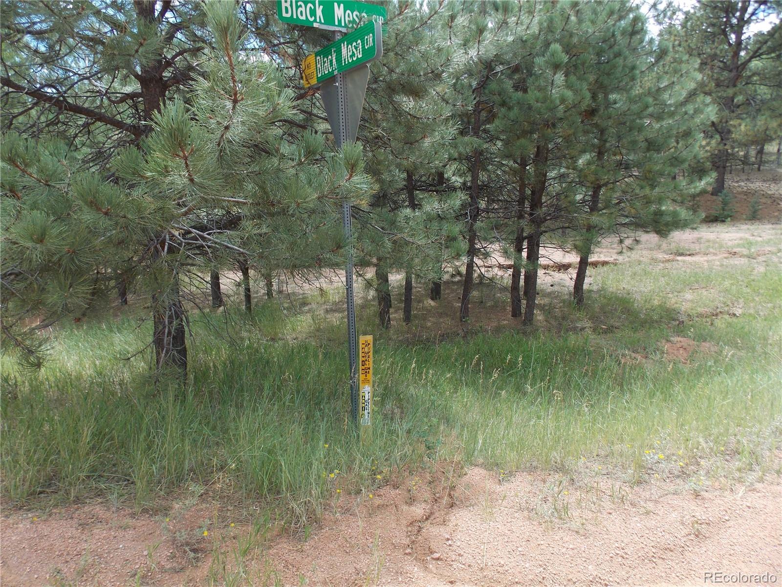 738 Black Mesa Cir, Florissant, CO 80816
