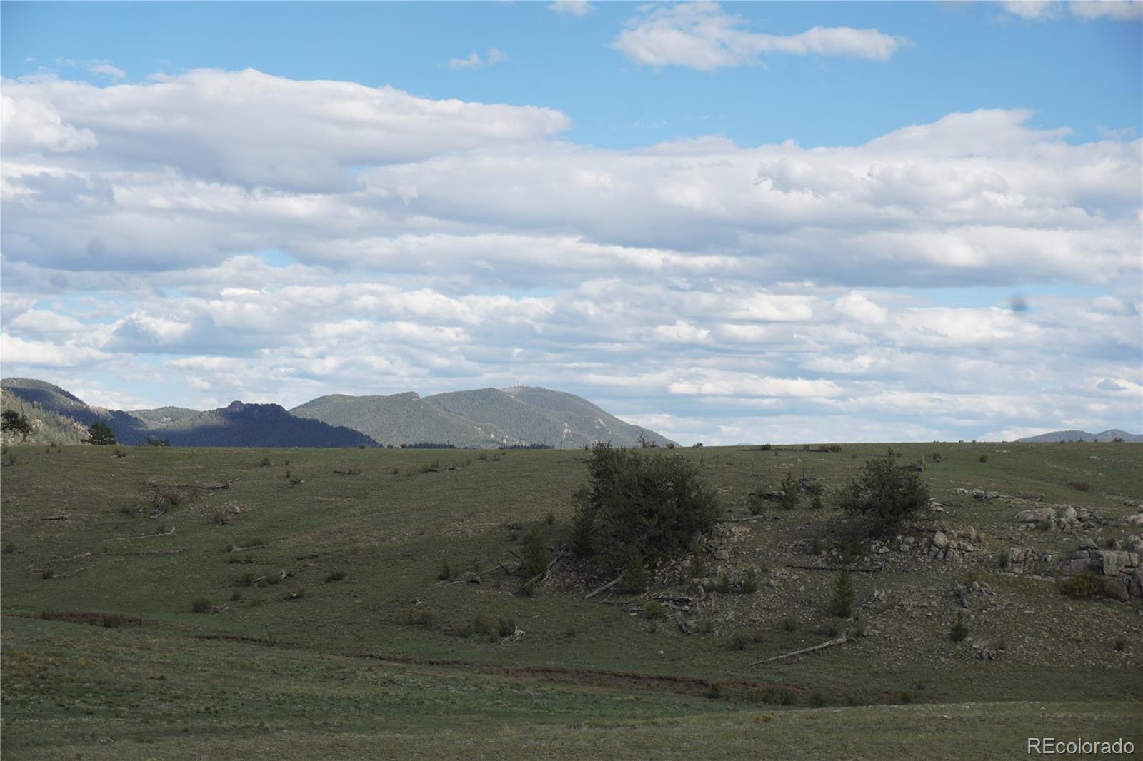 1022 Walls St, Hartsel, CO 80449
