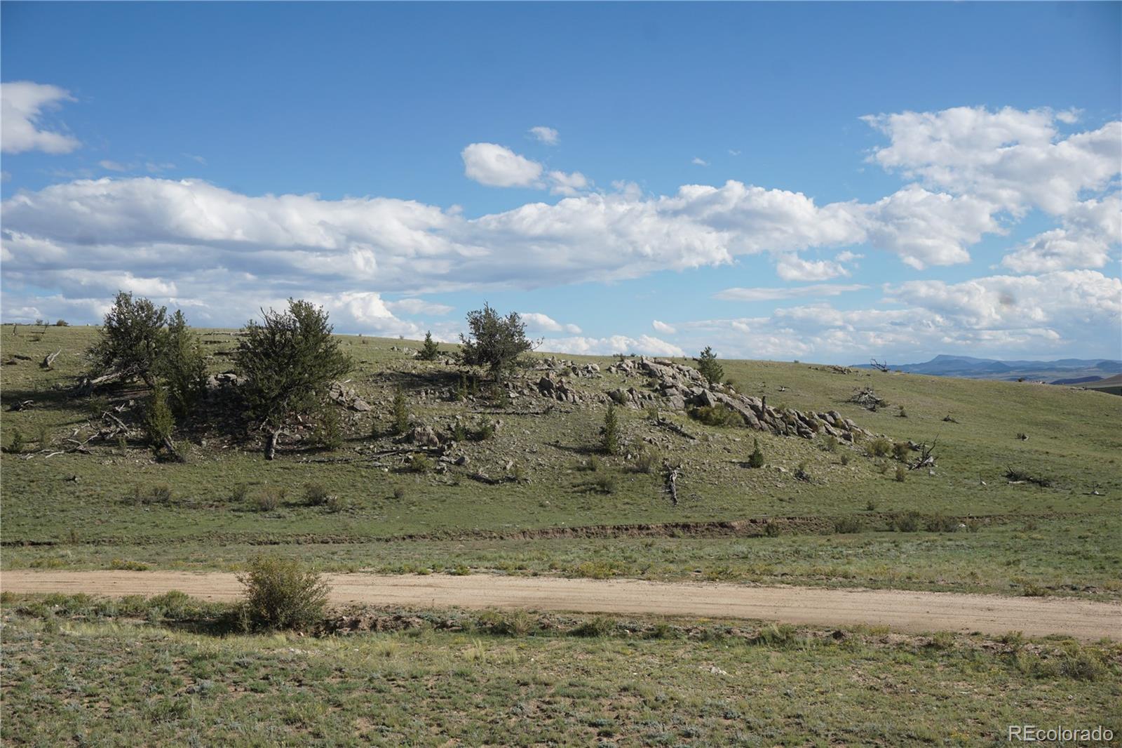 1022 Walls St, Hartsel, CO 80449