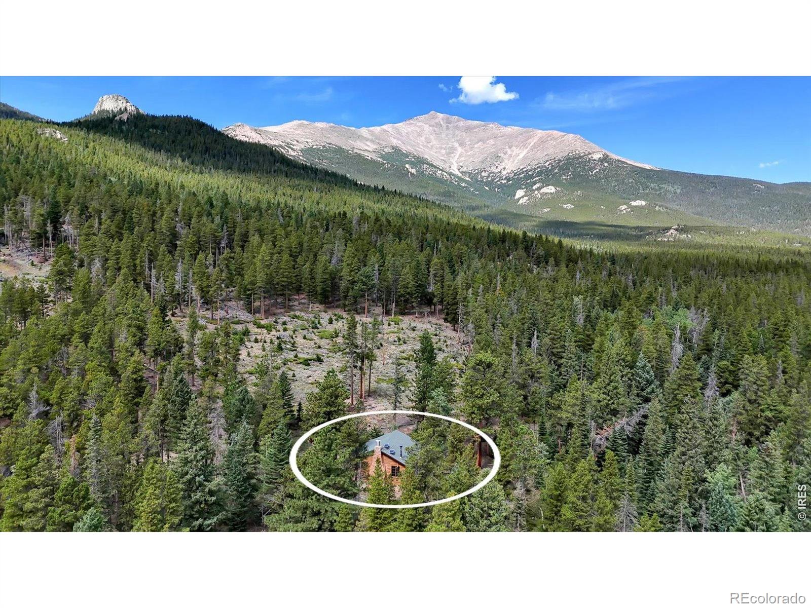 628 County Road 113s, Allenspark, CO 80540