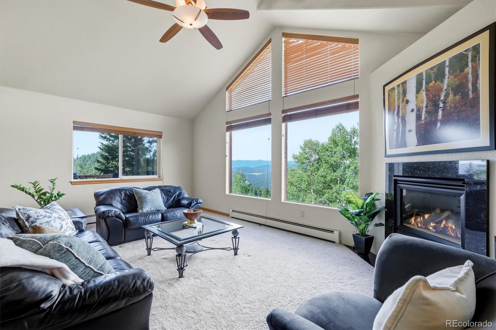 11756 Leavenworth Dr, Conifer, CO 80433