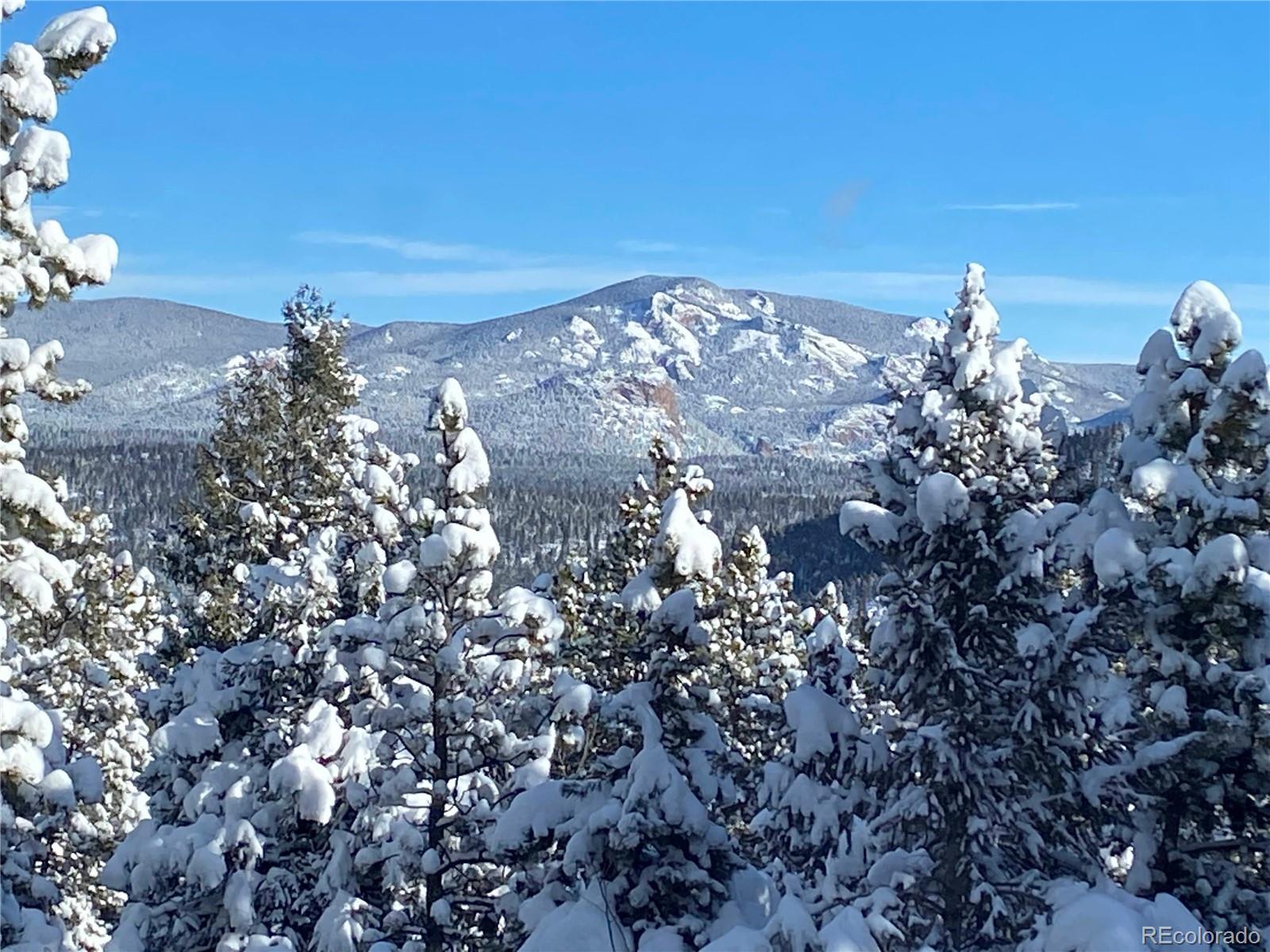1360 Delwood Dr, Bailey, CO 80421