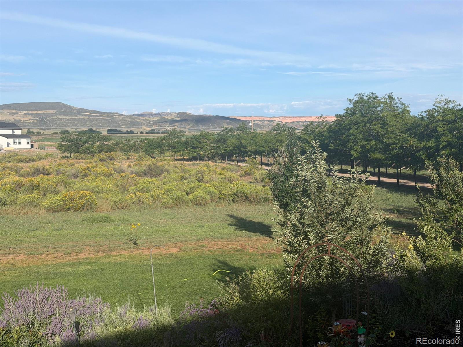 12156 N County Road 17, Fort Collins, CO 80524