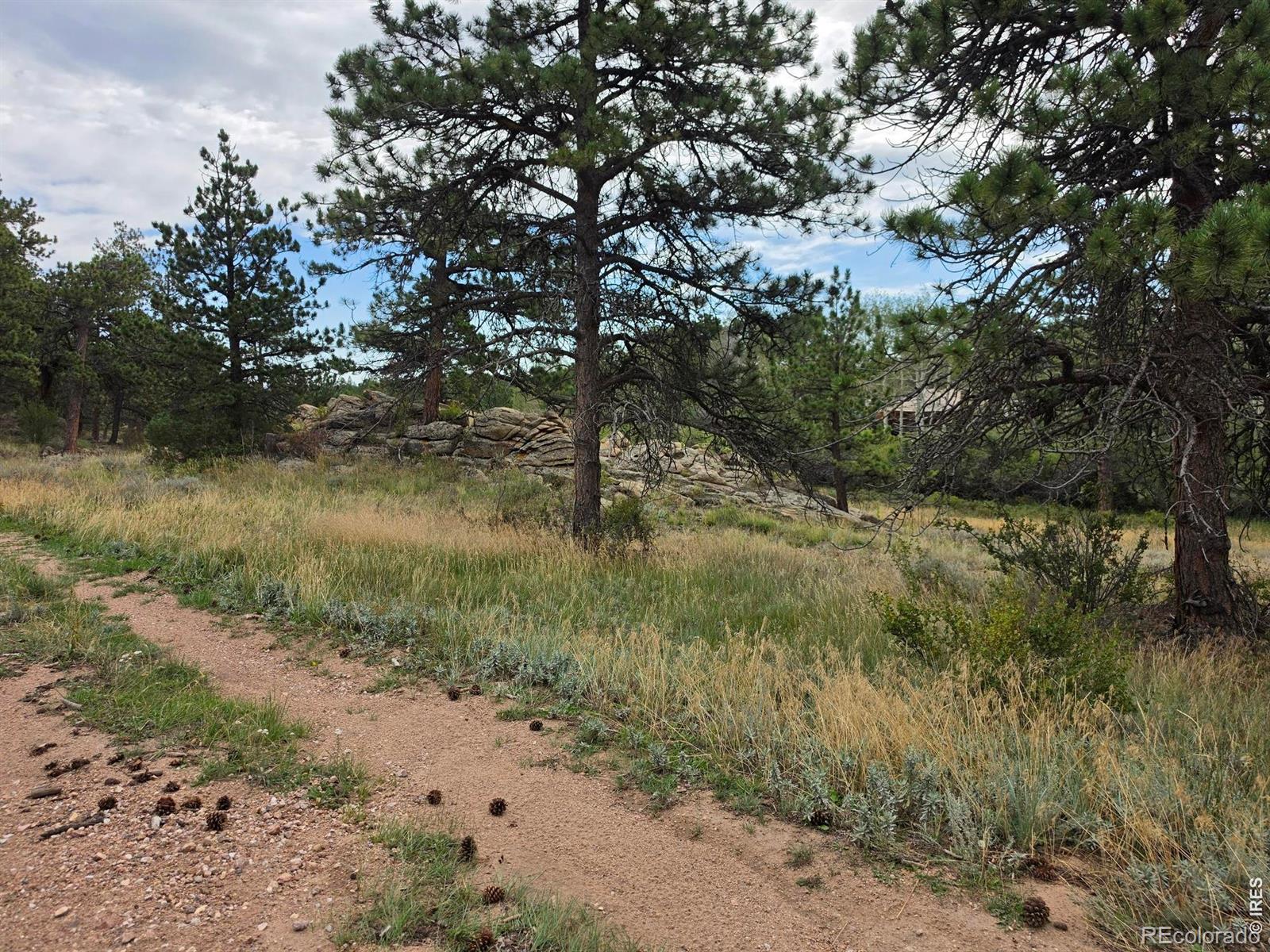 0 Lone Pine Ct, Red Feather Lakes, CO 80545