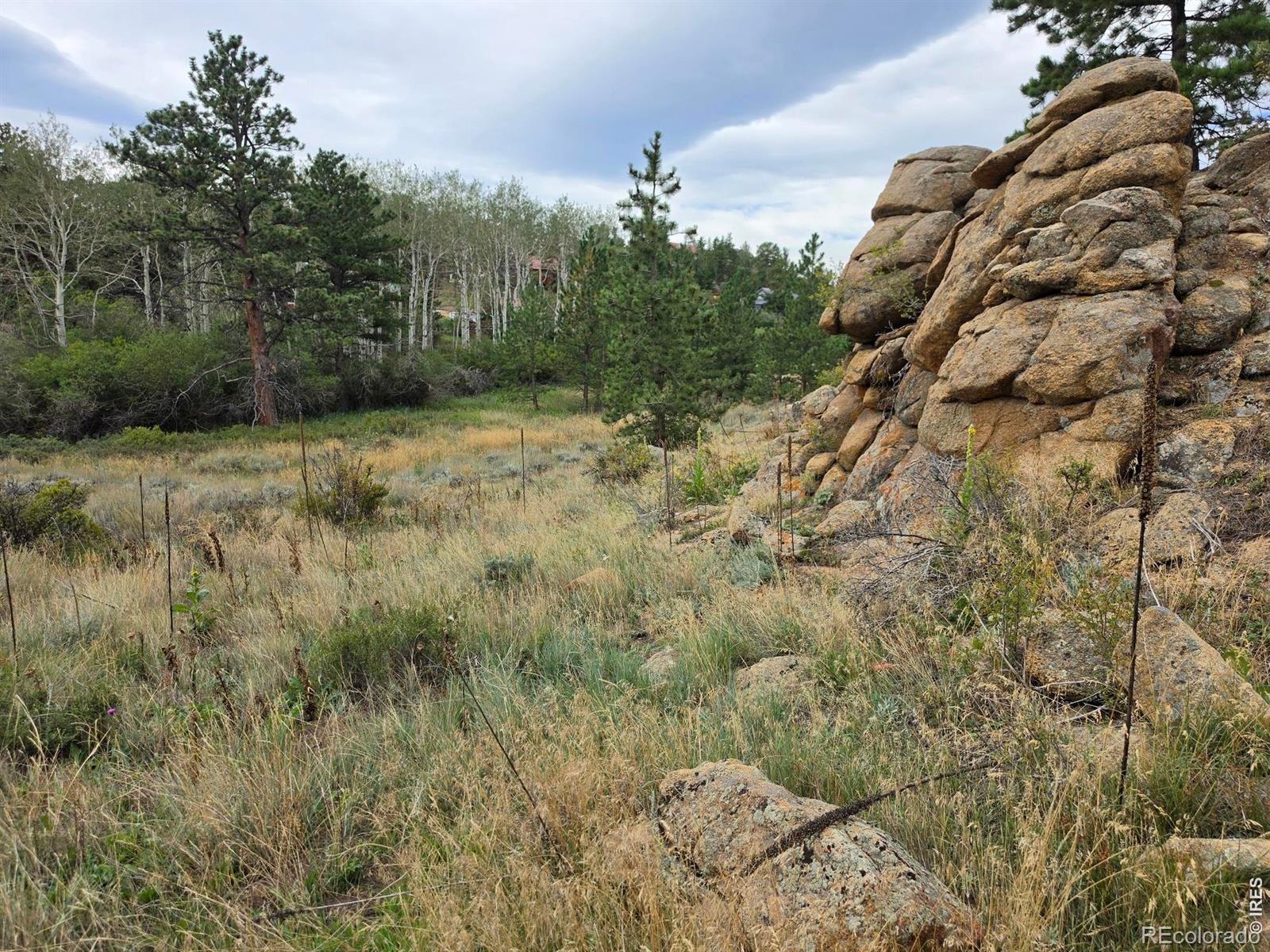 0 Lone Pine Ct, Red Feather Lakes, CO 80545